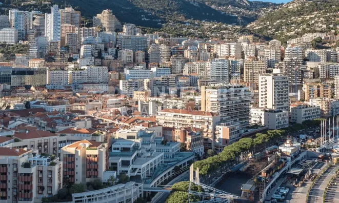 Недвижимость Apartment Monaco, Condamine: 11