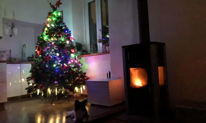 Недвижимость Five-room apartment in the center of Koper: 23