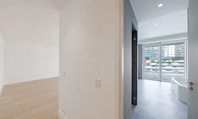Недвижимость Apartment Monaco, Anse Du Portier: 16