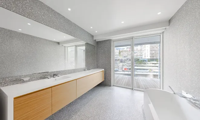 Недвижимость Apartment Monaco, Anse Du Portier: 17