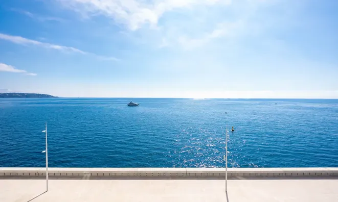 Недвижимость Apartment Monaco, Anse Du Portier: 21