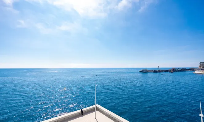 Недвижимость Apartment Monaco, Anse Du Portier: 22
