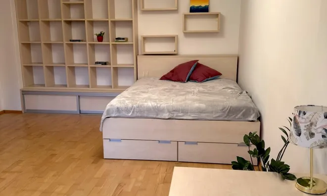 Недвижимость Apartment, 1-room in Novo Shentvid: 3