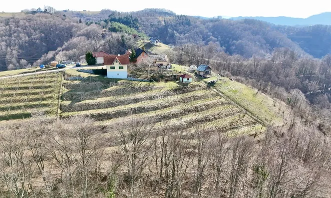Недвижимость Дом, расположенный в Планьско: 8