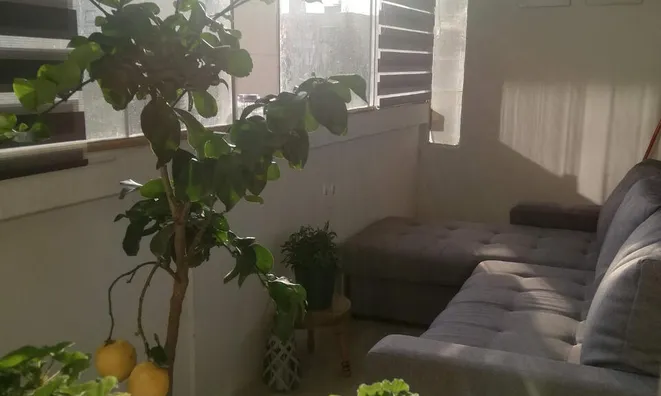 Недвижимость Apartment, 3 rooms Wrzesińska 3: 1