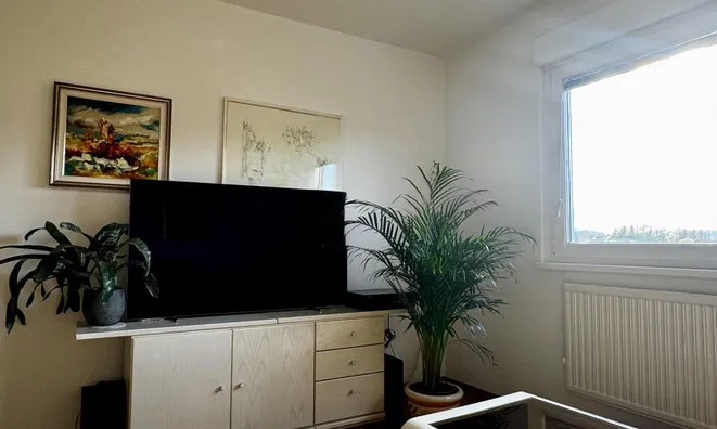 Недвижимость Apartment, 3 rooms Novo Dravle: 2