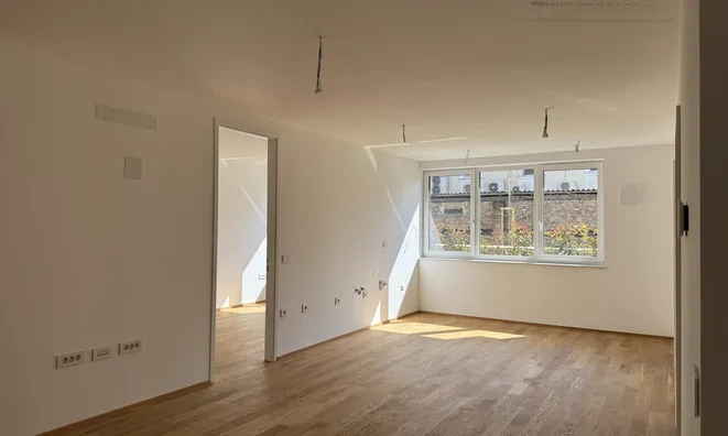 Недвижимость Three-room apartment Zhidano Quarter: 4