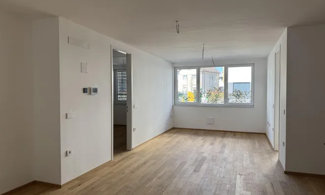 Недвижимость 3-room apartment, Zhidanov Quarter: 3