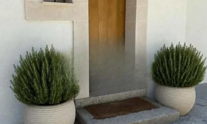 Недвижимость Single house 10 rooms: 3