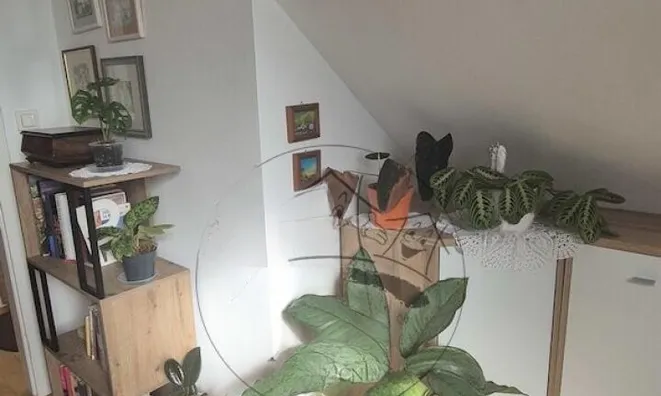 Недвижимость Apartment Near the Forest in Črnuče: 17