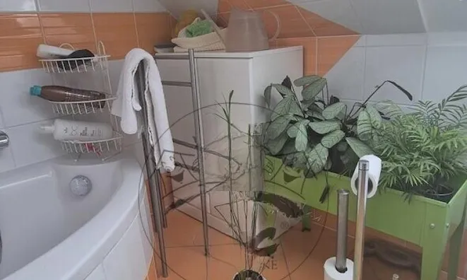 Недвижимость Apartment Near the Forest in Črnuče: 24