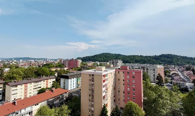 Недвижимость Apartment 1.5-room Ljubljana Šiška: 5