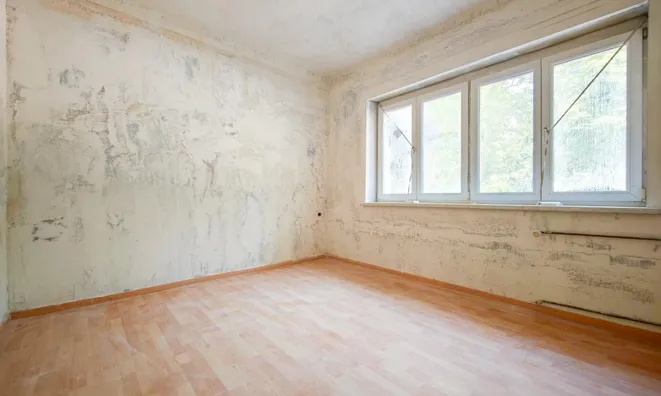 Недвижимость Apartment in the center of Ljubljana: 5