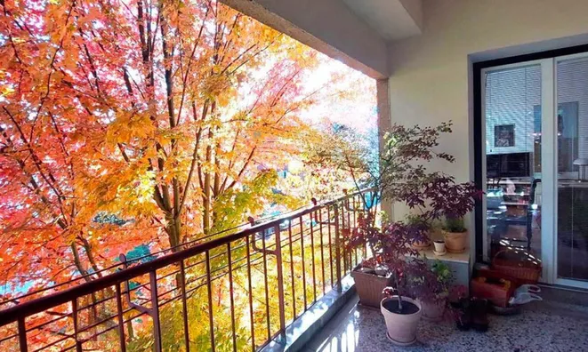 Недвижимость 4.5-room apartment Colesia: 10