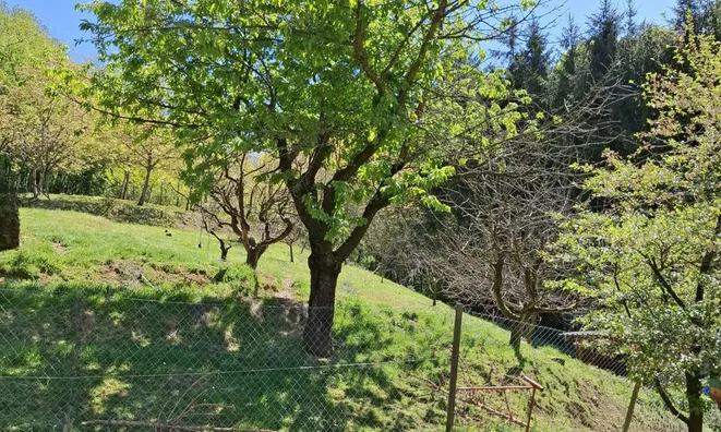 Недвижимость House, Upper Hrushkovo, Trakošćan.: 9