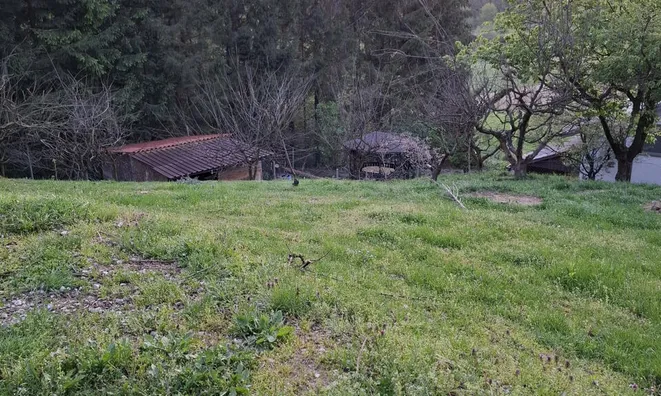 Недвижимость House, Upper Hrushkovo, Trakošćan.: 26