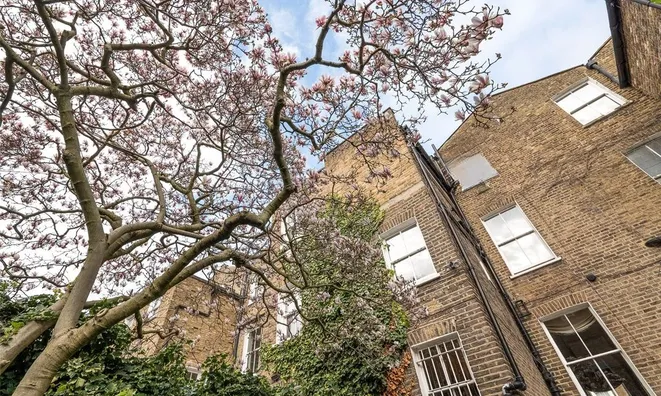 Недвижимость Limerston Street, Chelsea: 5