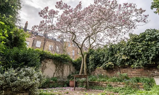 Недвижимость Limerston Street, Chelsea: 6
