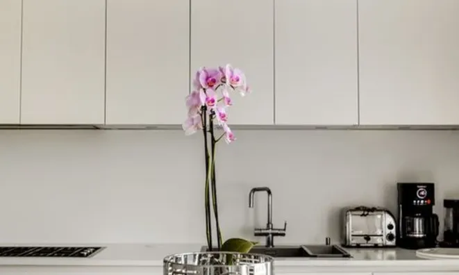 Недвижимость Redcliffe Gardens: 7