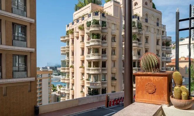 Недвижимость Apartment Monaco, La Rousse: 17