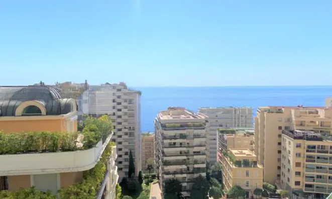 Недвижимость Apartment Monaco, La Rousse: 4