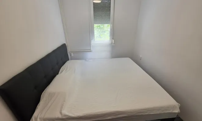 Недвижимость Apartment 2.5 rooms, Center: 14