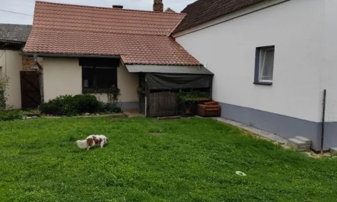 Недвижимость Дом, село Доманьшевци: 2