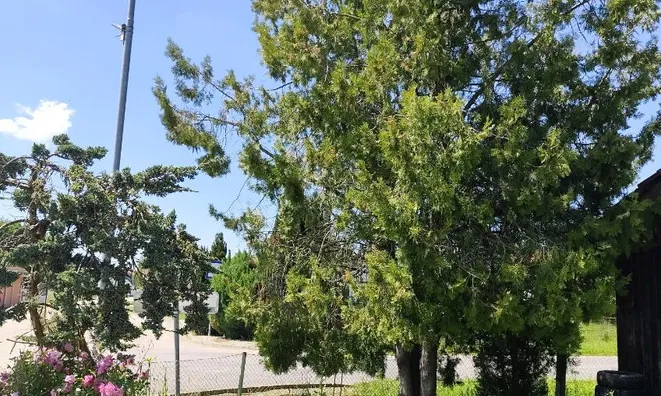Недвижимость Дом, село Доманьшевци: 11