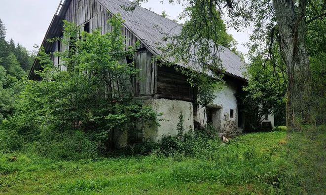 Недвижимость Жилище в Шентовишка Гора: 3