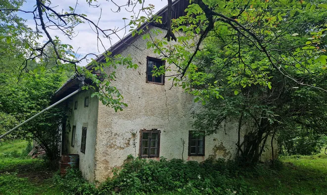 Недвижимость Жилище в Шентовишка Гора: 4