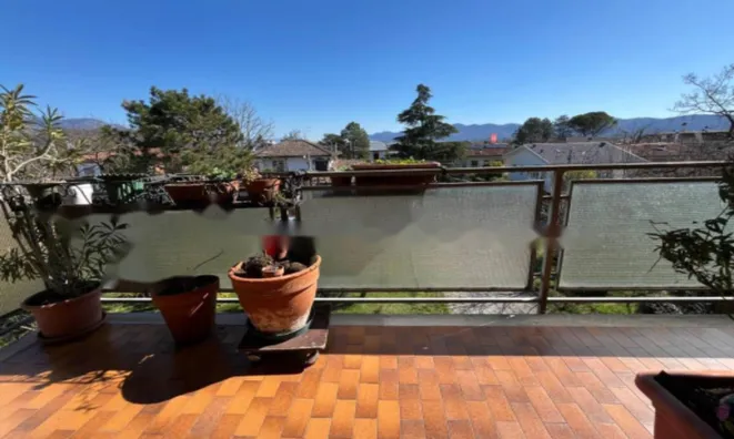 Недвижимость Трехкомнатная в Центре Горизии: 7