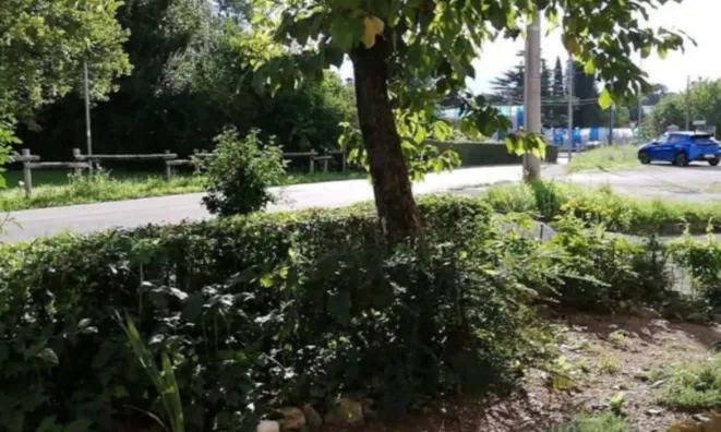 Недвижимость Трехкомнатная квартира в центре Гориши: 3