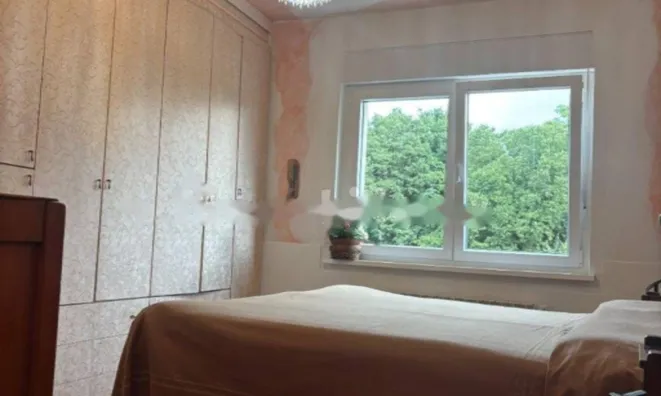 Недвижимость Трехкомнатная квартира в центре Гориши: 13