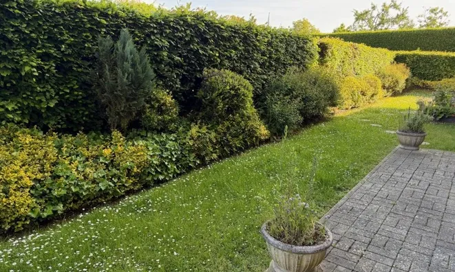 Недвижимость Apartment 1 bedroom for sale in Aspelt: 3