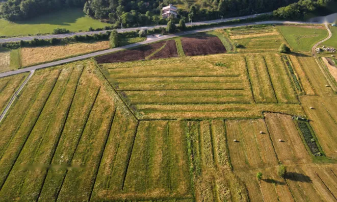 Недвижимость Усадьба Кметияново, Березовка у Любляны: 1