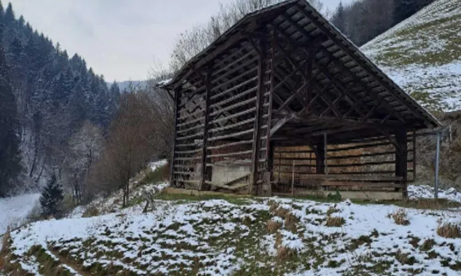 Недвижимость Объект: Участок, ферма Заясовник - участок.: 4