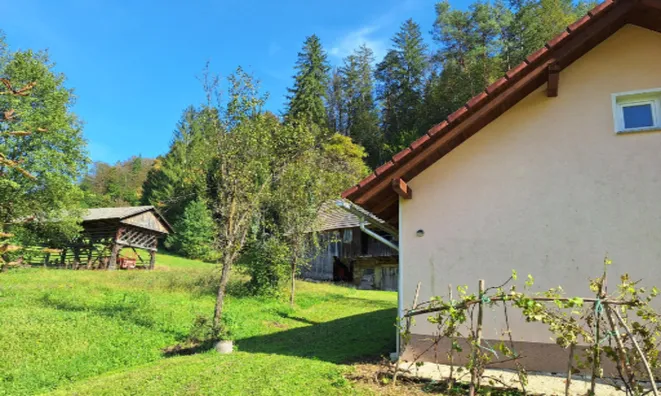 Недвижимость Усадьба и ферма Лончарьева Дола: 5