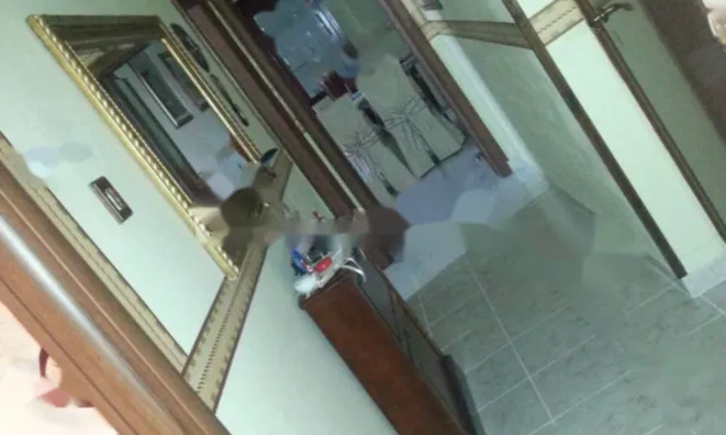 Недвижимость Двухкомнатная в центре Горицы: 3