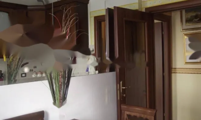 Недвижимость Двухкомнатная в центре Горицы: 6