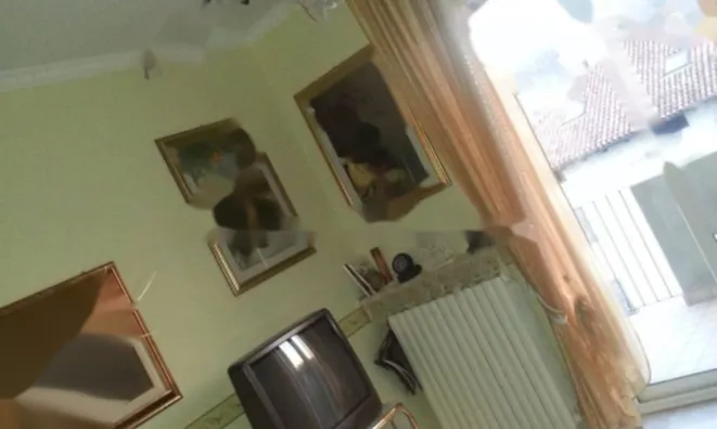 Недвижимость Двухкомнатная в центре Горицы: 7