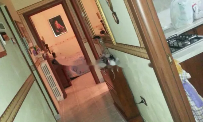 Недвижимость Двухкомнатная в центре Горицы: 14