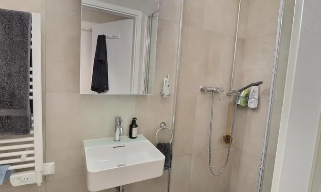 Недвижимость Attic flat 5 rooms: 6