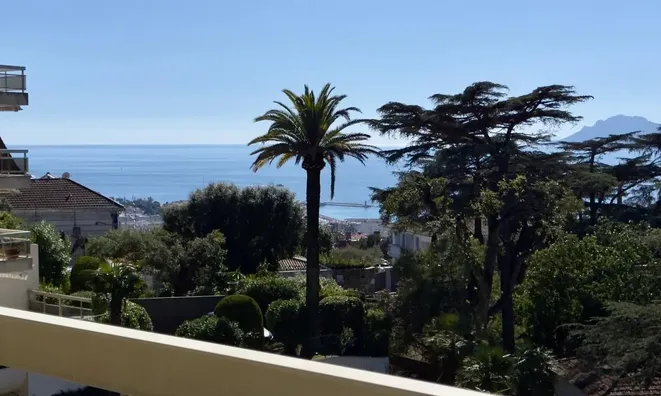Недвижимость Villa Cannes Californie: 1