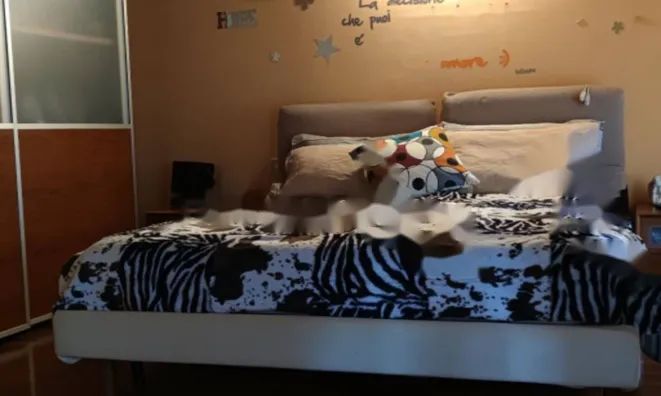 Недвижимость Четырехкомнатная квартира в центре Горицы: 6