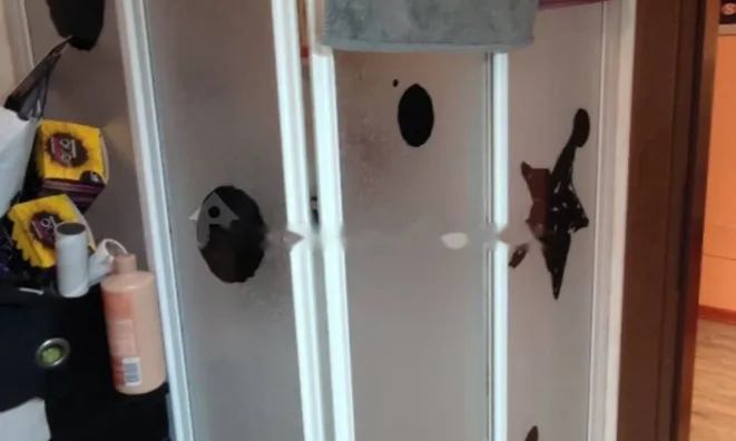 Недвижимость Четырехкомнатная квартира в центре Горицы: 14