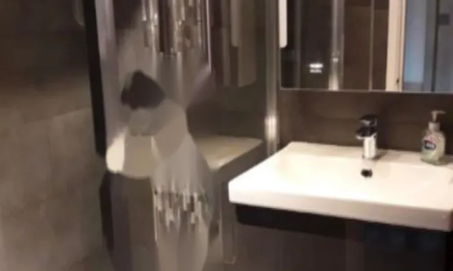 Недвижимость Кромвель Роуд, Эрлс-Корт: 15