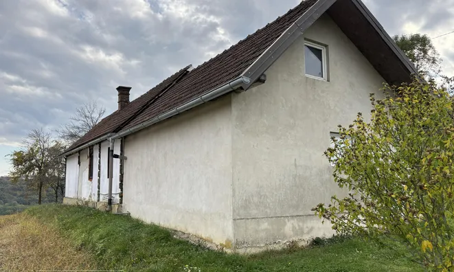 Недвижимость Дом на холме в Крижевцах: 4