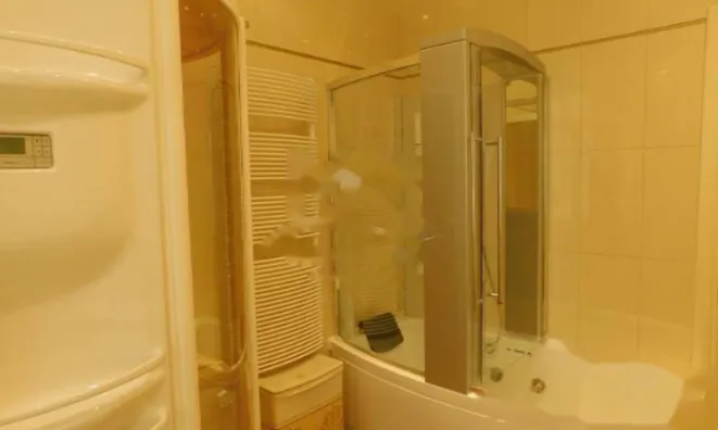 Недвижимость Трехкомнатная квартира в Центре: 53