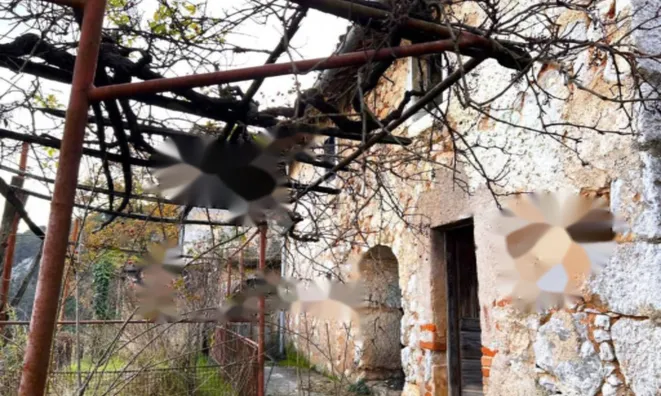 Недвижимость Семейный дом 190 м², Центр: 3