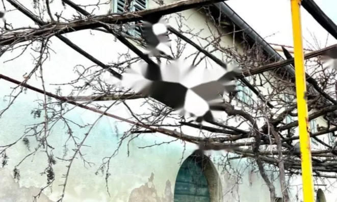 Недвижимость Семейный дом 190 м², Центр: 5